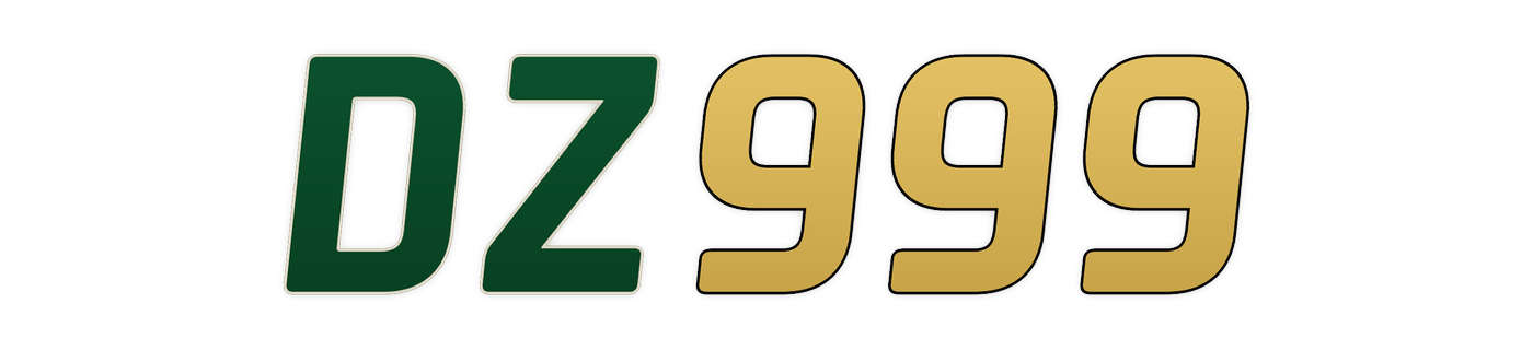 dz999